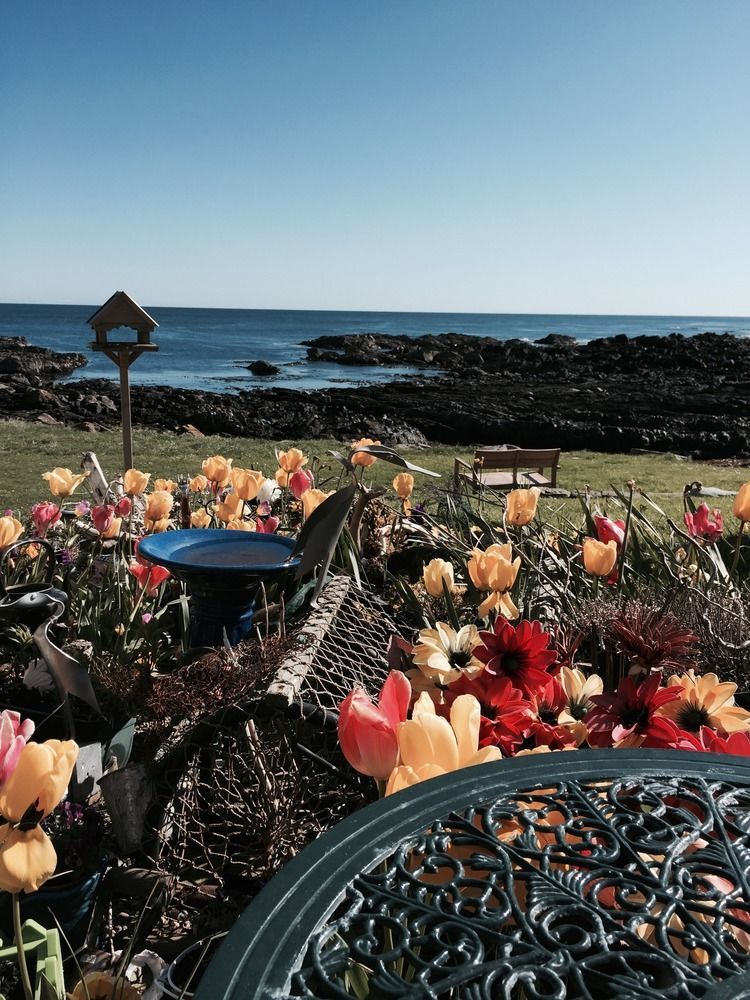 Pew With A View - Seafront Cottages Rosehearty Exterior foto