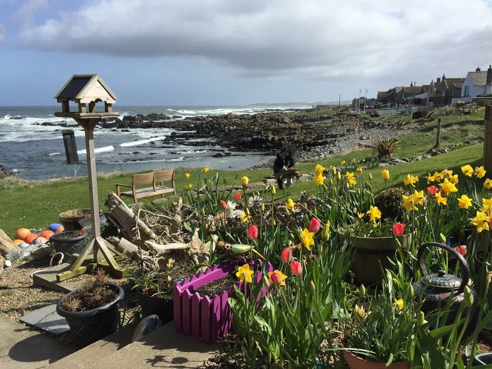 Pew With A View - Seafront Cottages Rosehearty Exterior foto